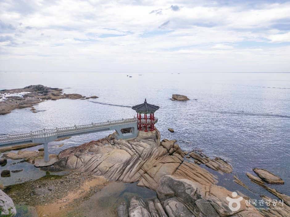 영금정 — 반려동물 동반 관광지