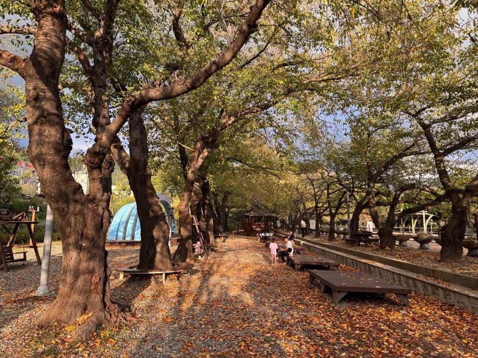 경화역공원 — 반려동물 동반 관광지