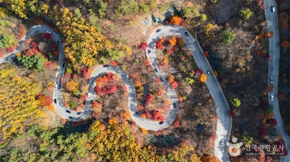 단양 보발재 — 반려동물 동반 관광지