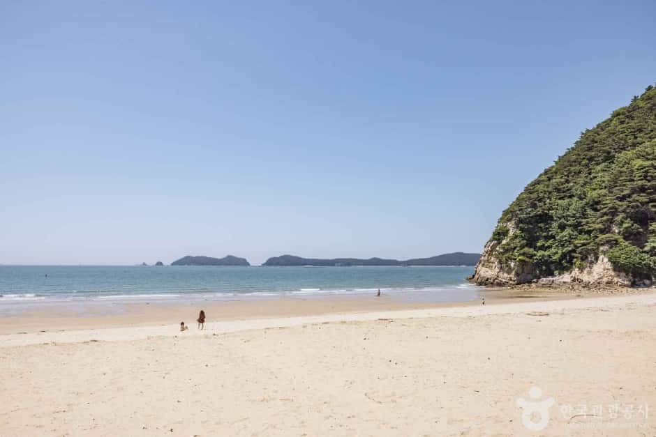 갈음이해수욕장 — 반려동물 동반 관광지