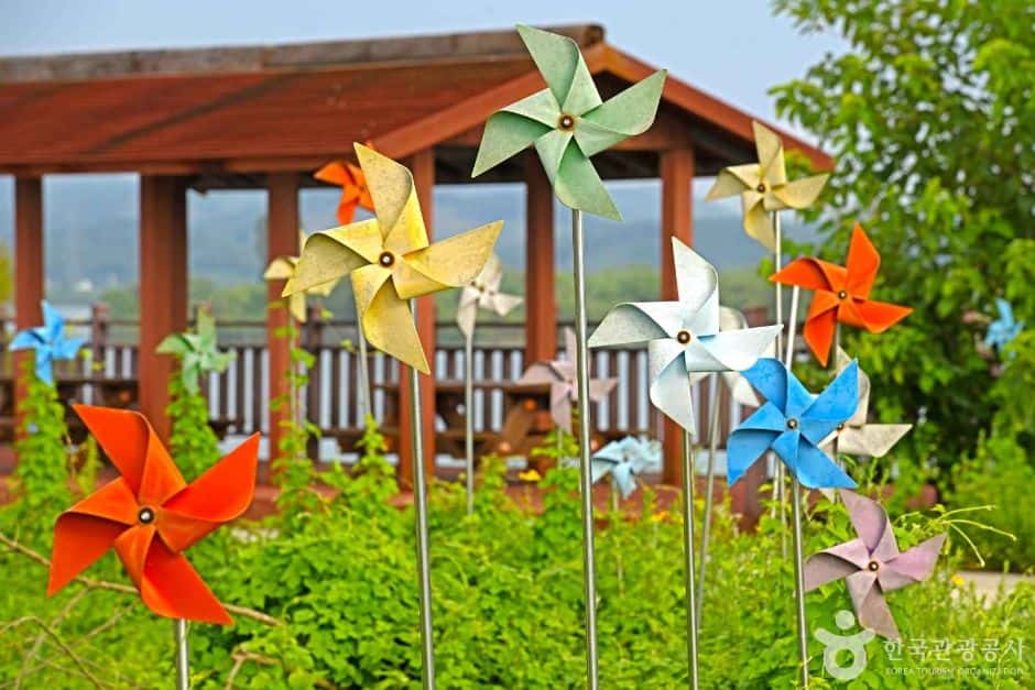 바람개비 마을 — 반려동물 동반 관광지