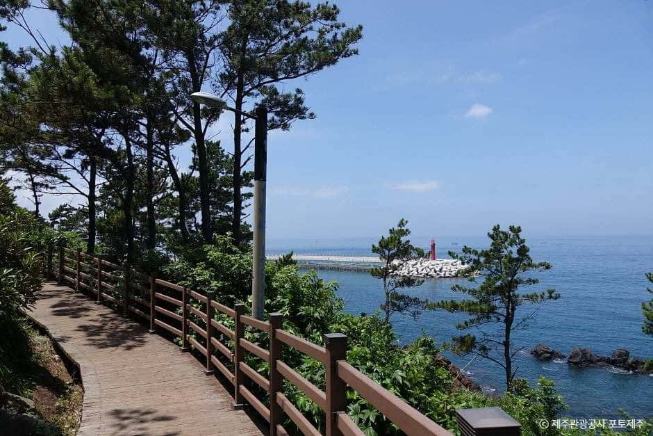 도두봉 — 반려동물 동반 관광지