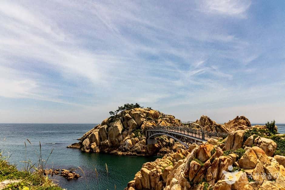 대왕암공원 — 반려동물 동반 관광지