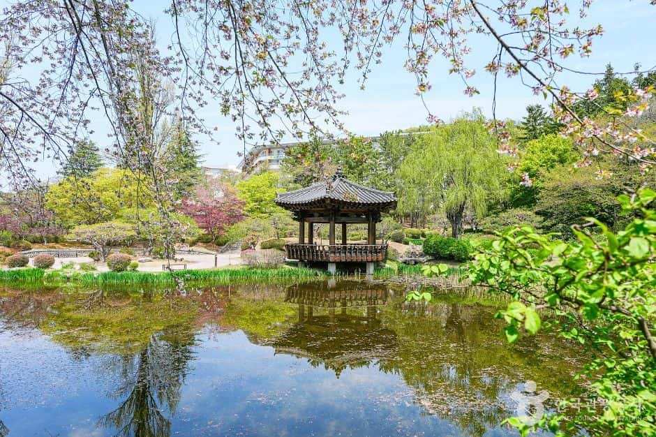 보문정(경주) — 반려동물 동반 관광지