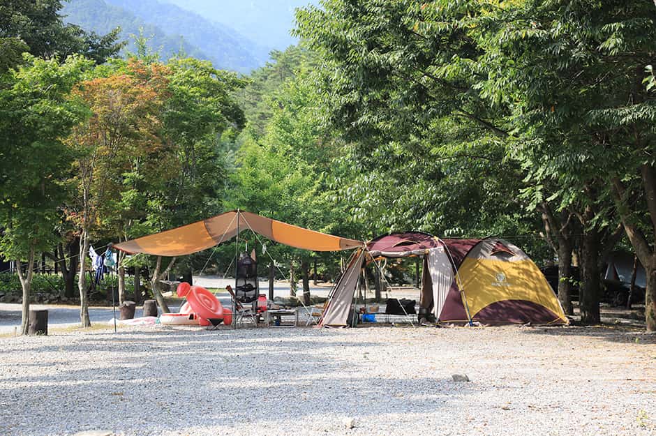 산여울캠프장 — 반려동물 동반 레포츠
