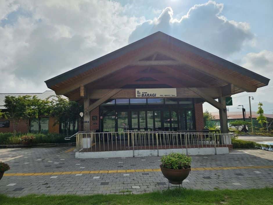 팜바라기 cafe — 반려동물 동반 음식점
