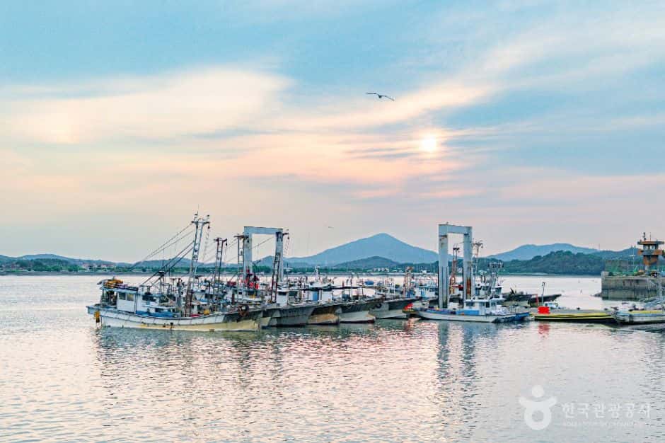 김포 대명항 — 반려동물 동반 관광지