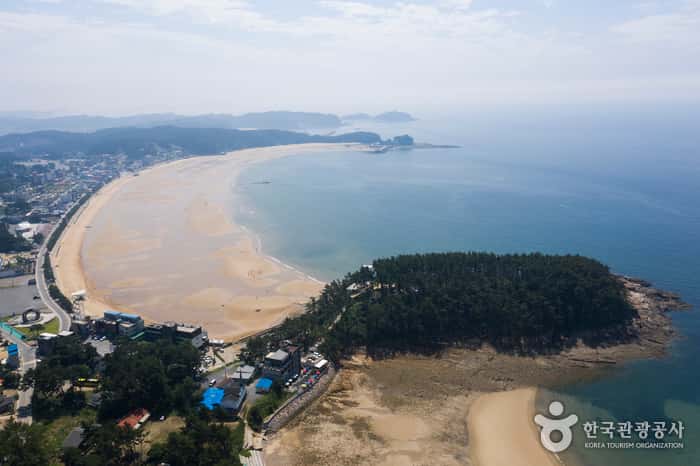 만리포해수욕장 — 반려동물 동반 관광지