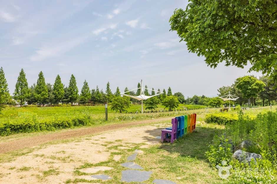 문암생태공원 — 반려동물 동반 관광지
