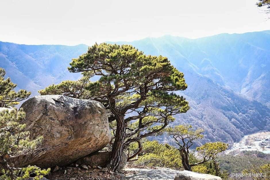 가지산도립공원(밀양) — 반려동물 동반 관광지