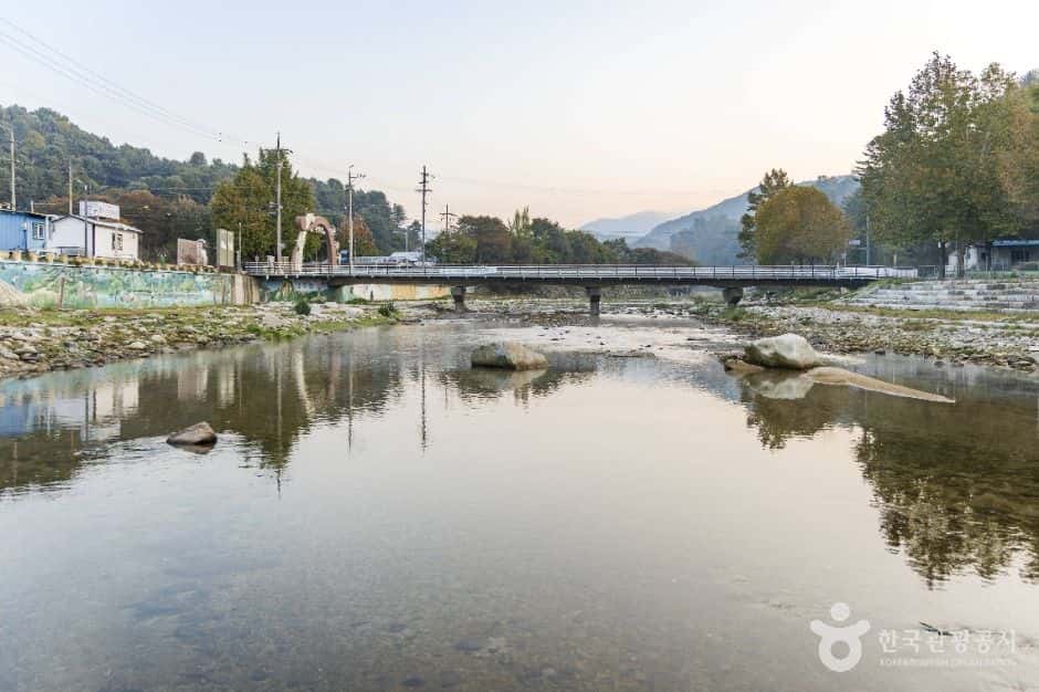 조종천계곡 — 반려동물 동반 관광지