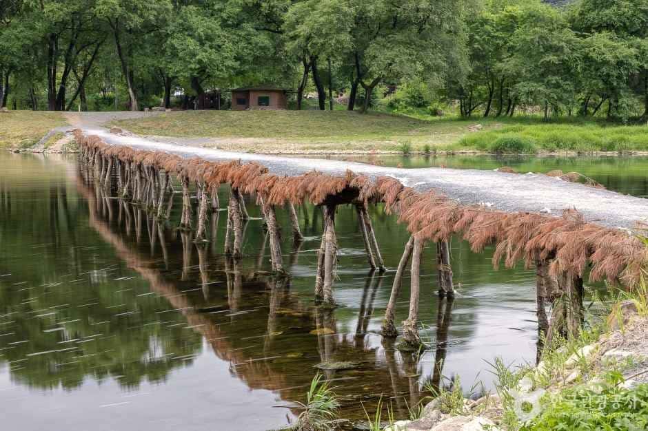 영월 섶다리 마을 — 반려동물 동반 관광지