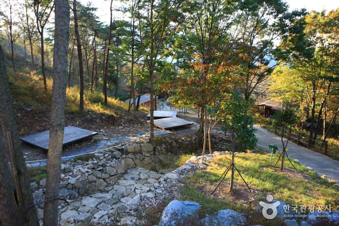 국립 천관산자연휴양림 — 반려동물 동반 관광지
