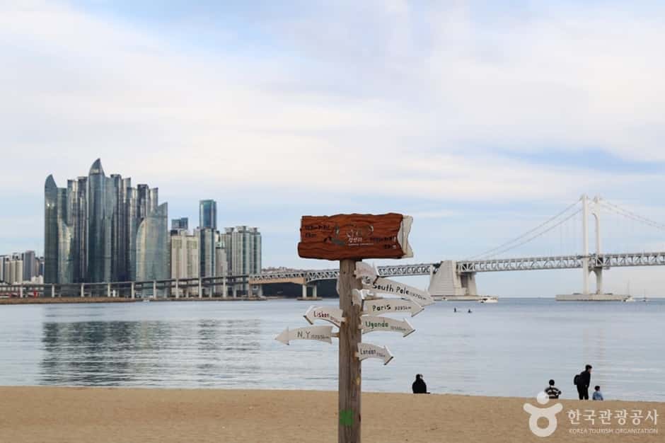 광안리해변 테마거리 — 반려동물 동반 관광지