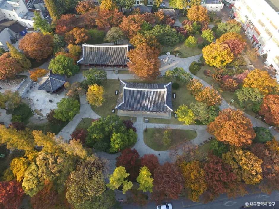 경상감영공원 — 반려동물 동반 관광지