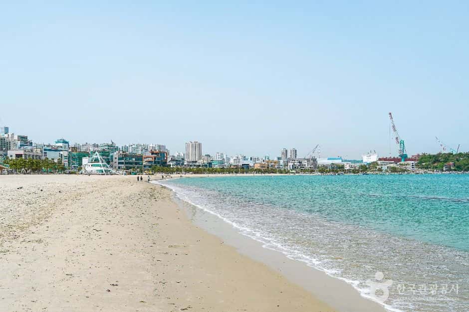 일산해수욕장(울산) — 반려동물 동반 관광지
