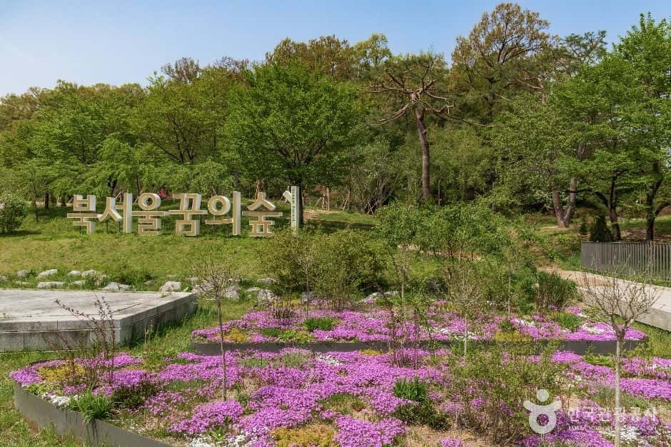 북서울꿈의숲 — 반려동물 동반 관광지