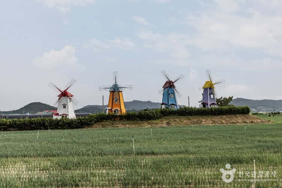 임자도 — 반려동물 동반 관광지
