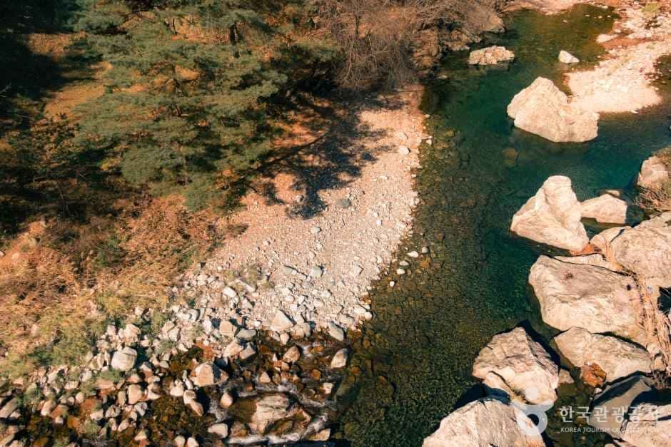 김삿갓 계곡 — 반려동물 동반 관광지