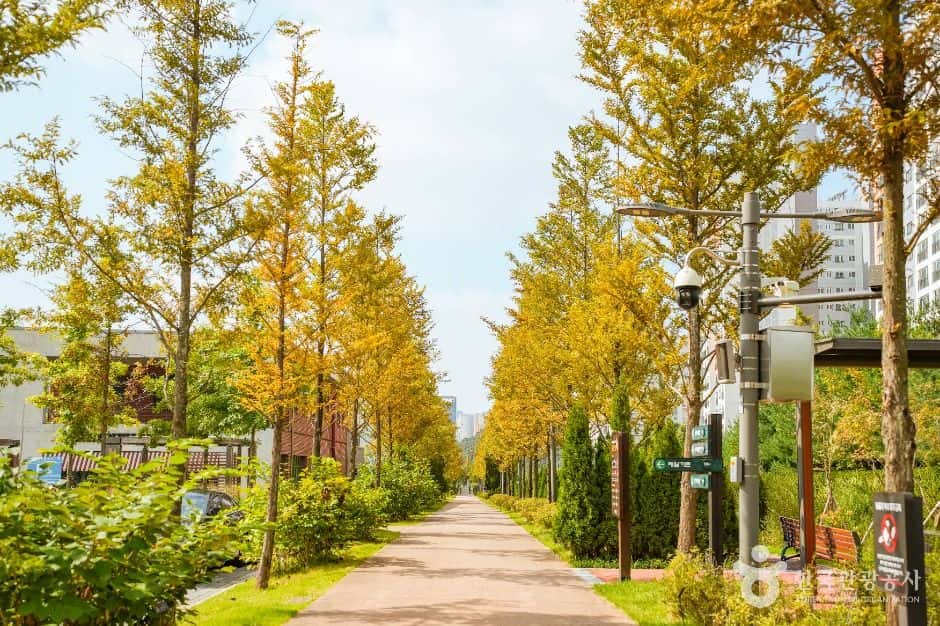 푸른수목원 — 반려동물 동반 관광지