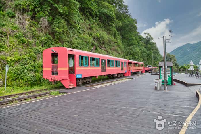 강촌레일파크(김유정레일바이크) — 반려동물 동반 레포츠