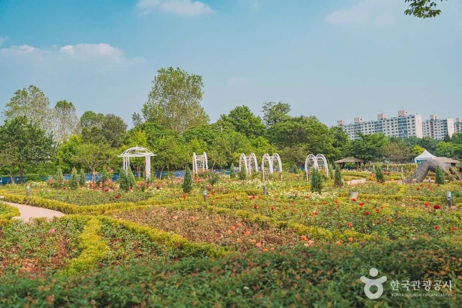 용산가족공원 — 반려동물 동반 관광지