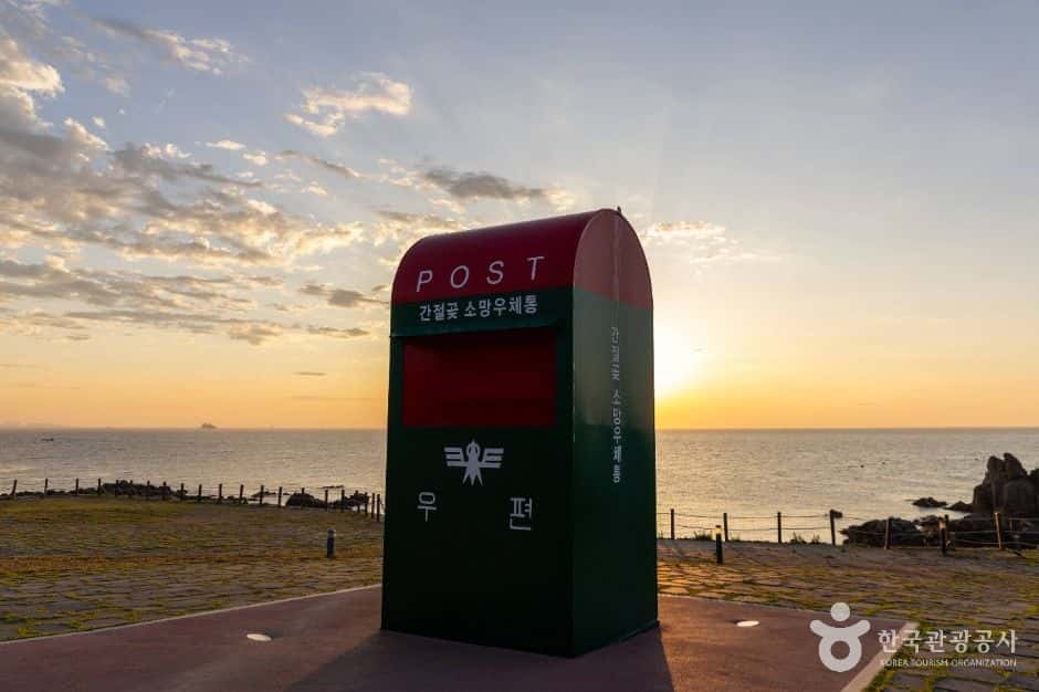 간절곶 — 반려동물 동반 관광지