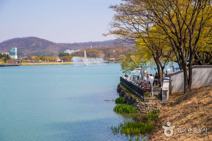 수성못 유원지 — 반려동물 동반 관광지