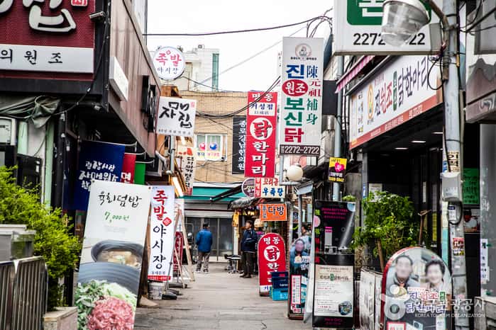 서울 동대문 닭한마리 골목 — 반려동물 동반 관광지