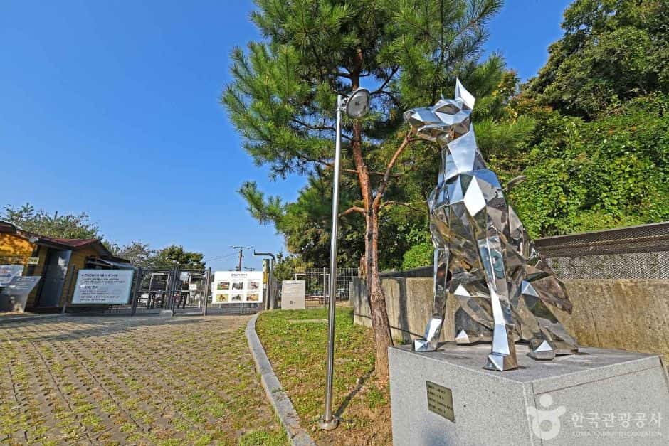 광교호수공원 반려견 놀이터 — 반려동물 동반 관광지