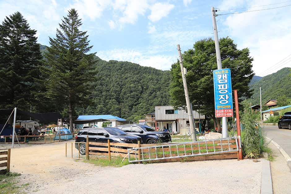 미산분교 캠핑장 — 반려동물 동반 레포츠
