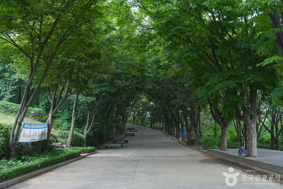 계양산 둘레길 — 반려동물 동반 레포츠