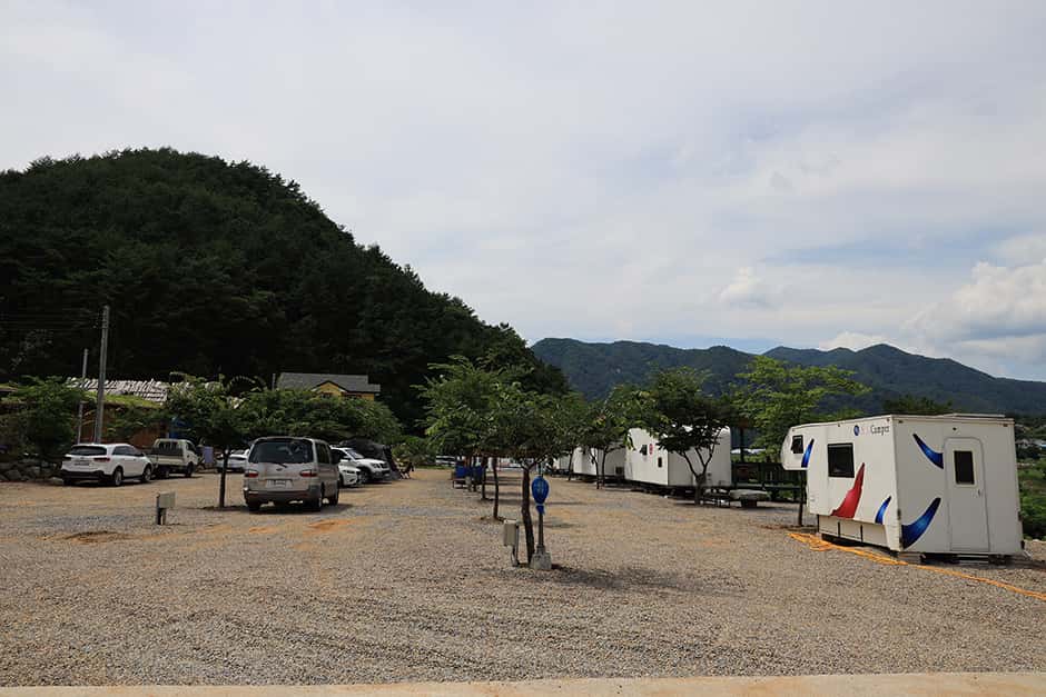 여울소리 — 반려동물 동반 레포츠
