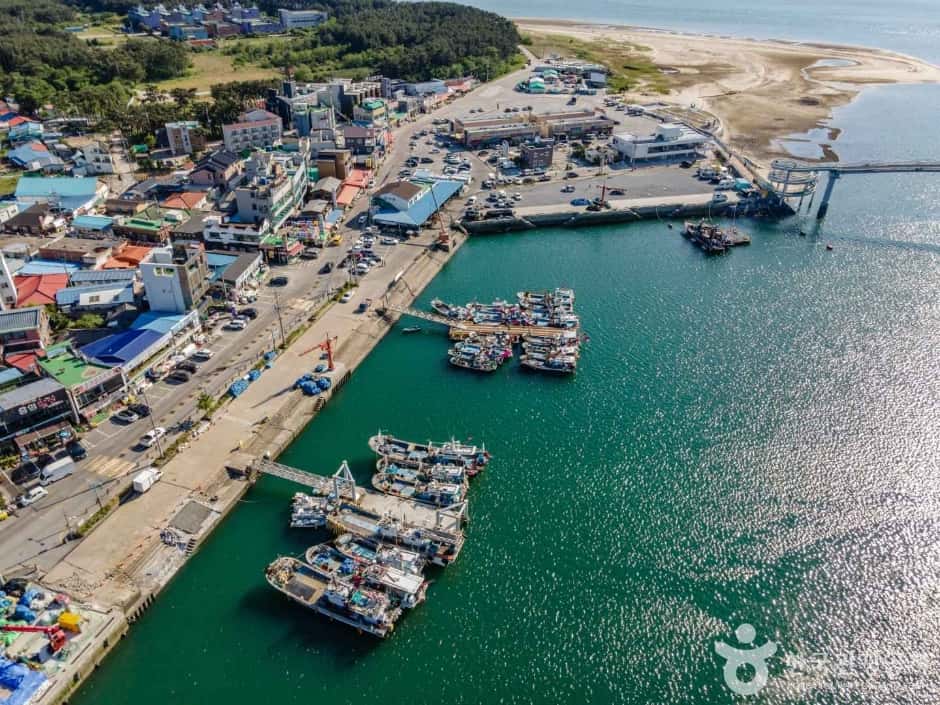 백사장항 — 반려동물 동반 관광지
