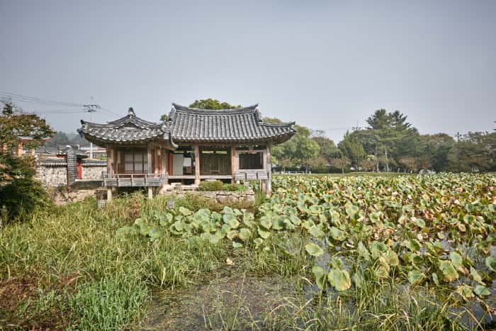 경주 서출지 — 반려동물 동반 관광지