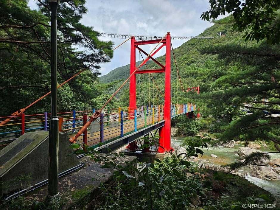 [진안고원길 9구간] 운일암반일암 숲길 — 반려동물 동반 레포츠