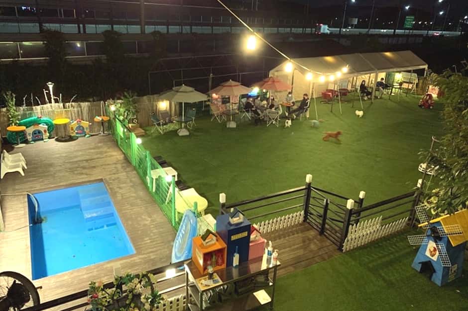 개떼놀이터 인천점 — 반려동물 동반 음식점