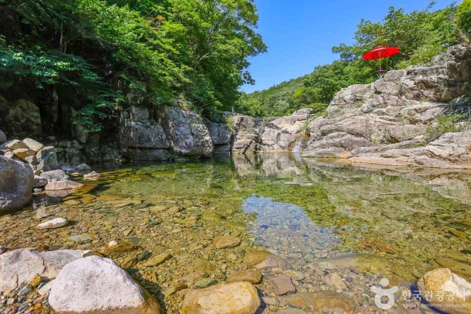 내원암 계곡 — 반려동물 동반 관광지