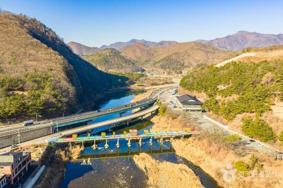 진남교반 — 반려동물 동반 관광지
