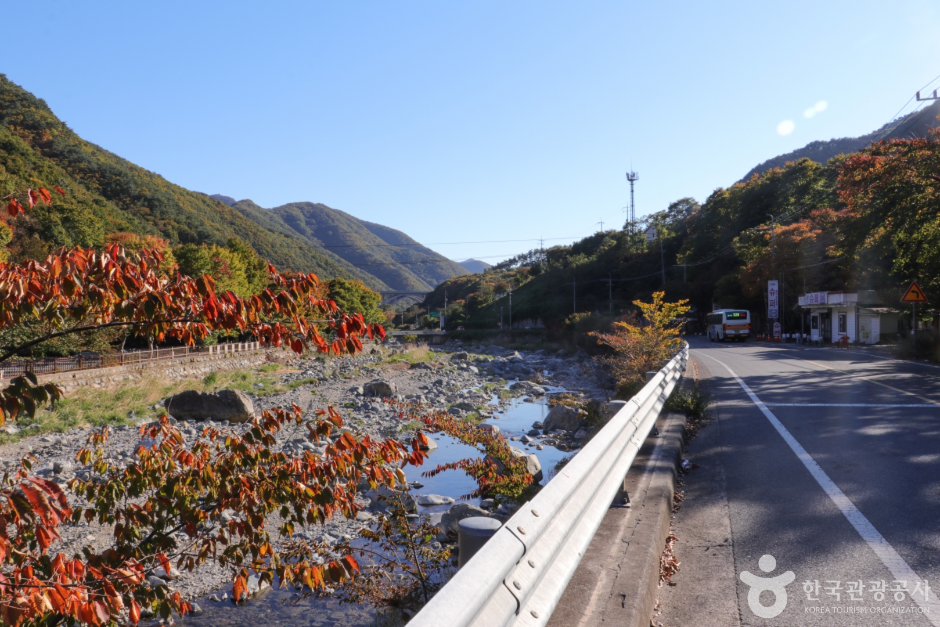 배내골(울산) — 반려동물 동반 관광지