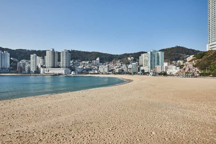 부산 송도해수욕장 — 반려동물 동반 관광지