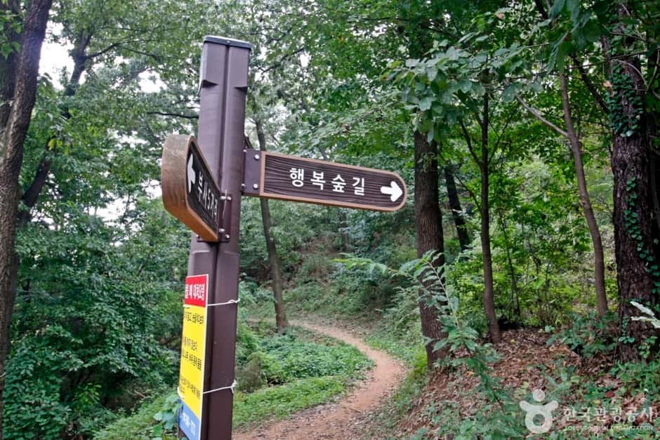 보문산 행복 숲 둘레길 — 반려동물 동반 관광지