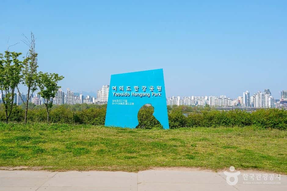 여의도한강공원 — 반려동물 동반 관광지
