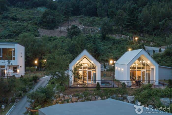 반디빌리지 — 반려동물 동반 숙박