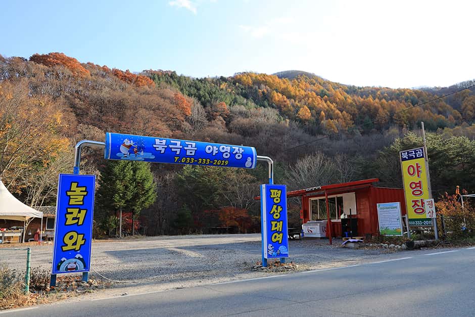 북극곰 야영장 — 반려동물 동반 레포츠