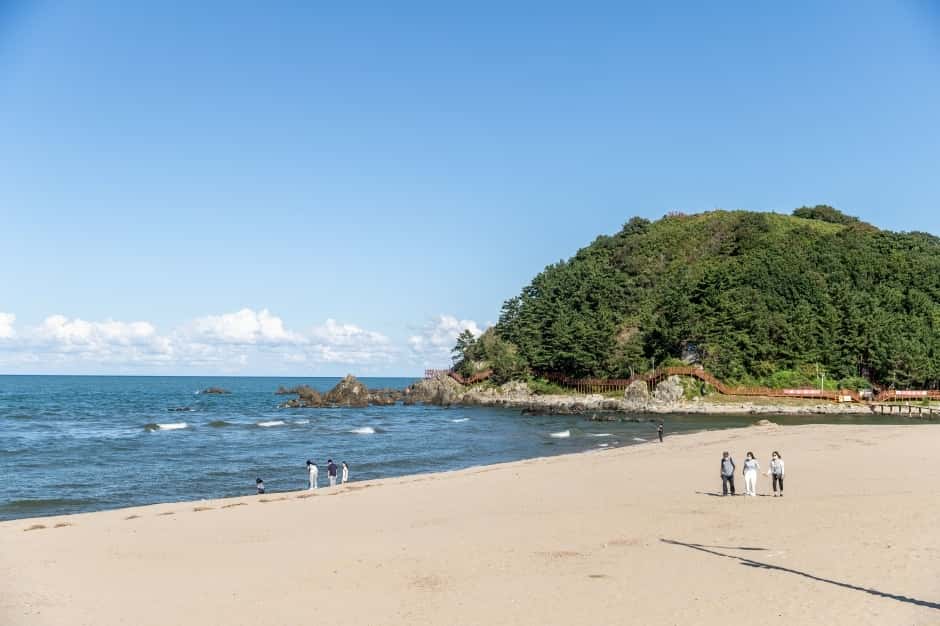 맹방해변 — 반려동물 동반 관광지