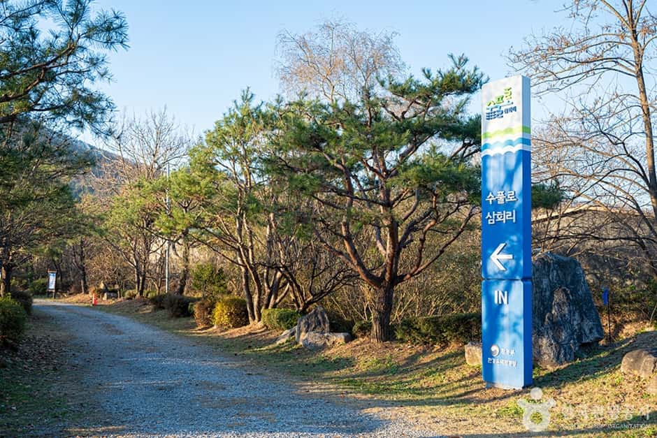 수풀로 삼회리 — 반려동물 동반 관광지