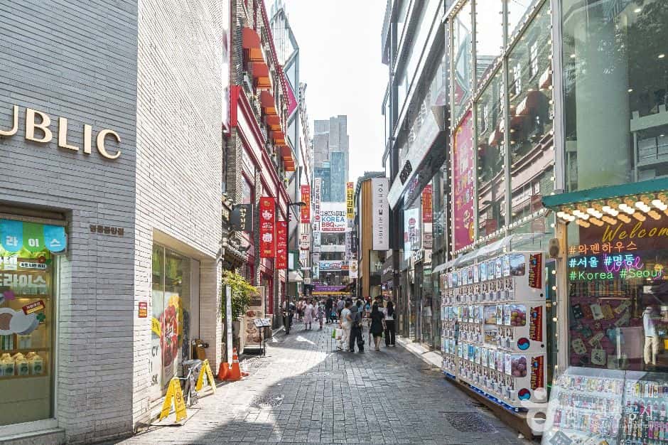 명동 — 반려동물 동반 관광지