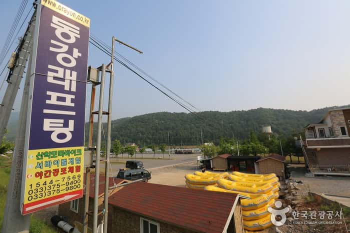 동강 래프팅(영월) — 반려동물 동반 레포츠