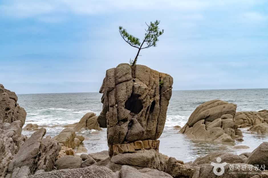 송지호해안 서낭바위 (강원평화지역 국가지질공원) — 반려동물 동반 관광지